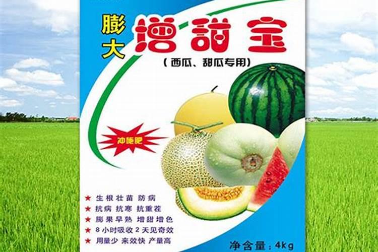 鱼食是什么做的