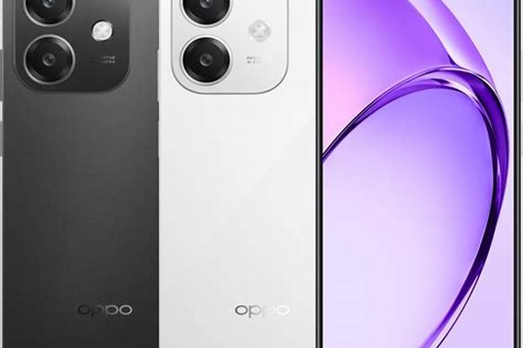 芙蓉花花期用什么肥 施肥有哪些注意事项