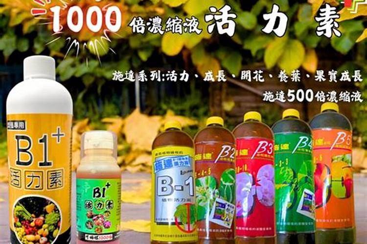 硼肥能做茶叶基肥吗？