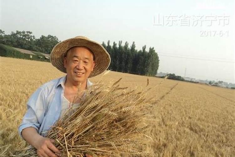 一喷雾器30斤水加多少尿素打多少地