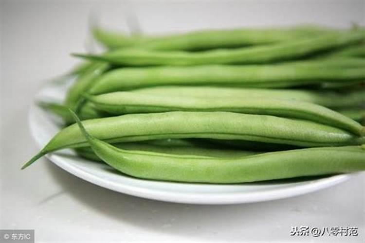 种甘蔗一亩赚多少钱