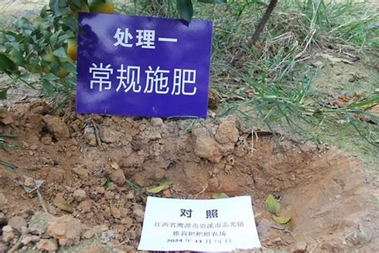 三角梅修剪后多久浇一次水