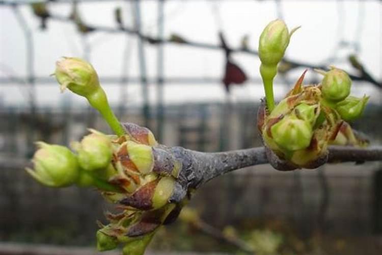 冬天皮肤干痒缺什么维生素