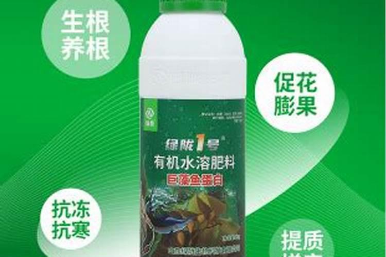 水培蔬菜的弊端