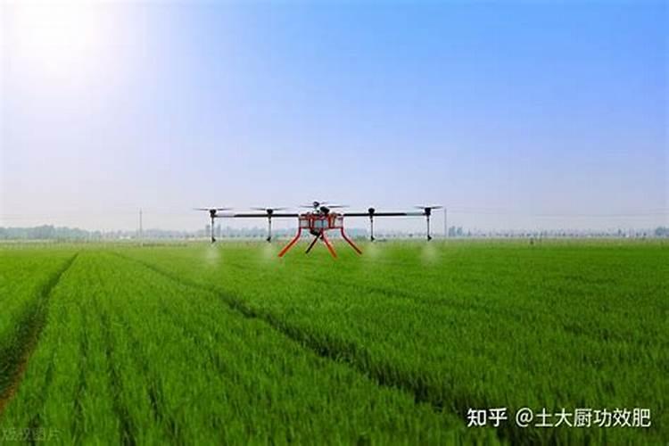 韭菜收割后怎么去除化肥残留