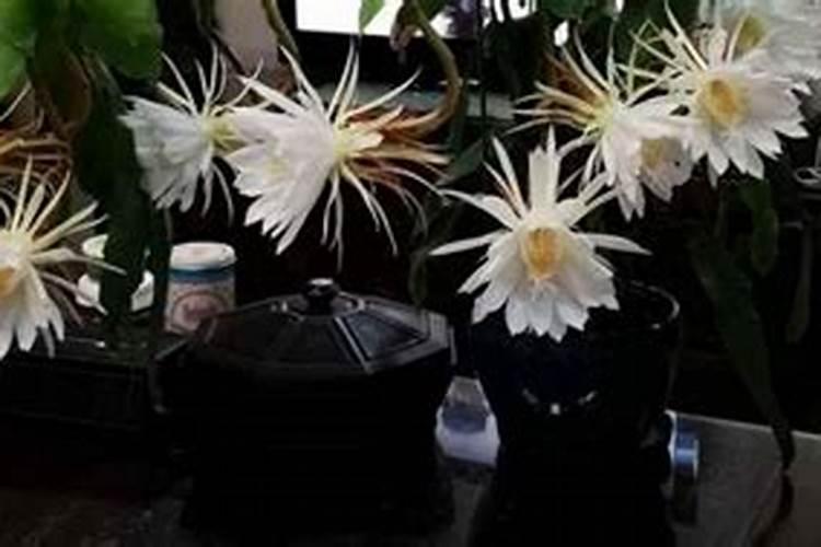 怎样简单辨别钾肥的真假与好坏？