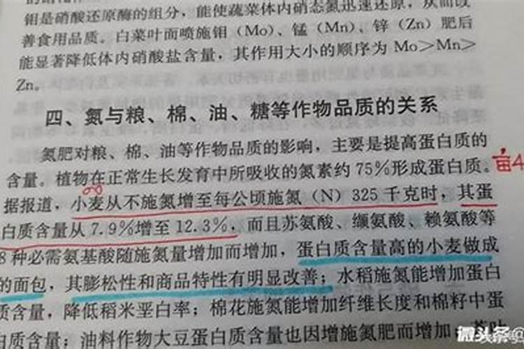 氮肥包括哪些肥料