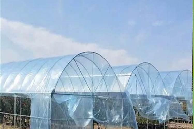 氯化钾作为大棚西瓜基肥可以吗？