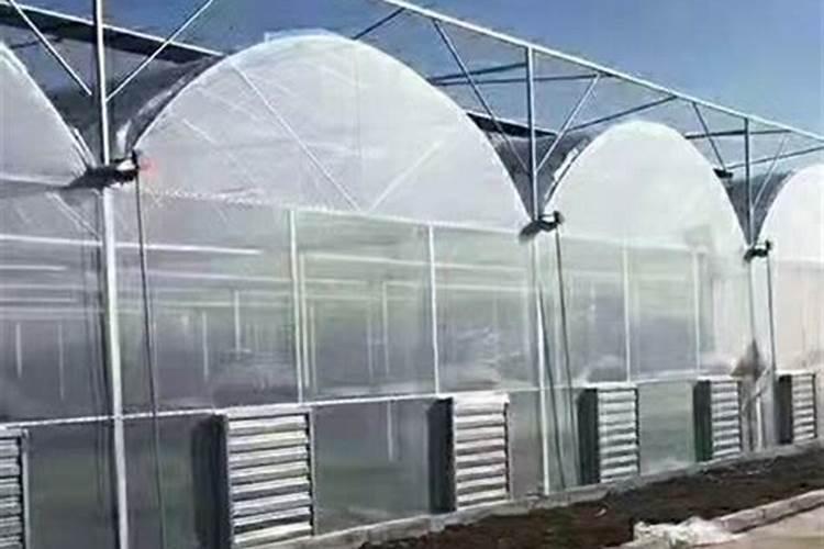 大棚蔬菜施肥一定要注意什么？