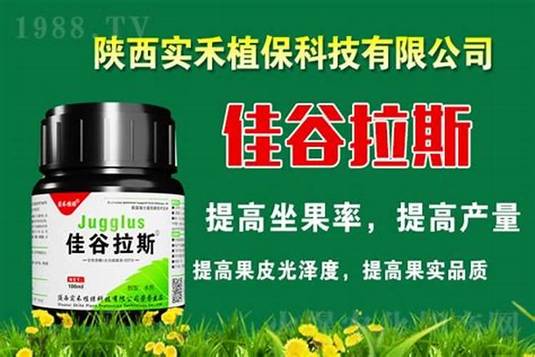 硝酸磷肥的含量及作用