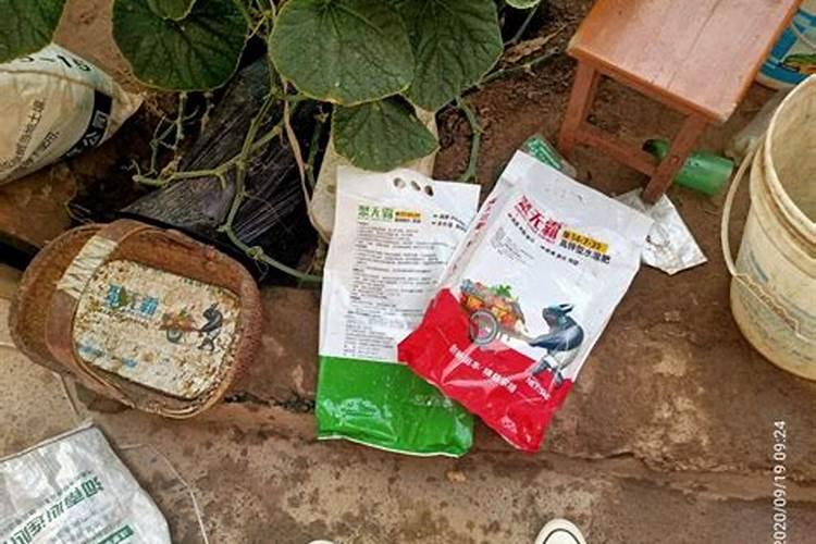草莓用什么肥料好