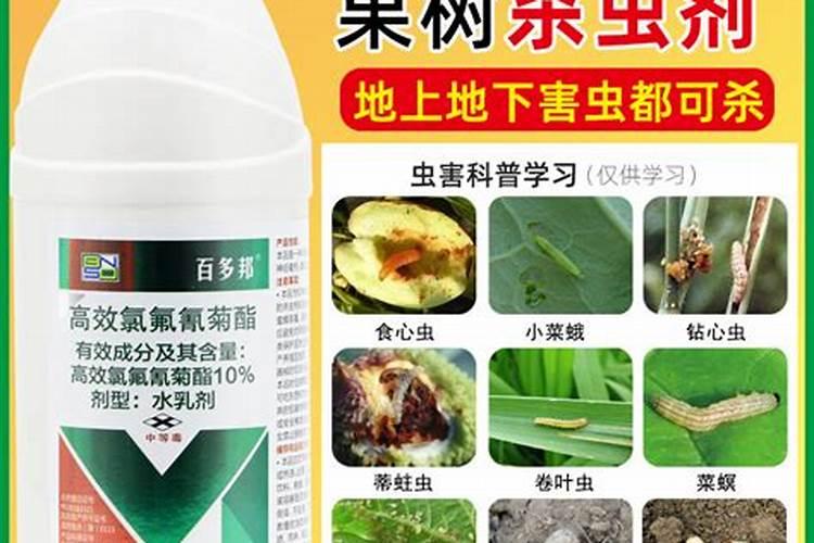 叶面肥什么牌子最好