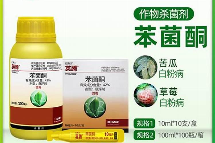 预防果树腐烂病用什么药