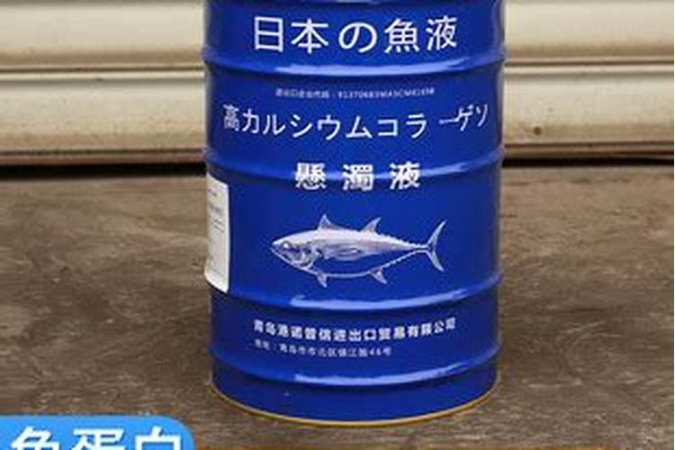 秋季养花巧施肥