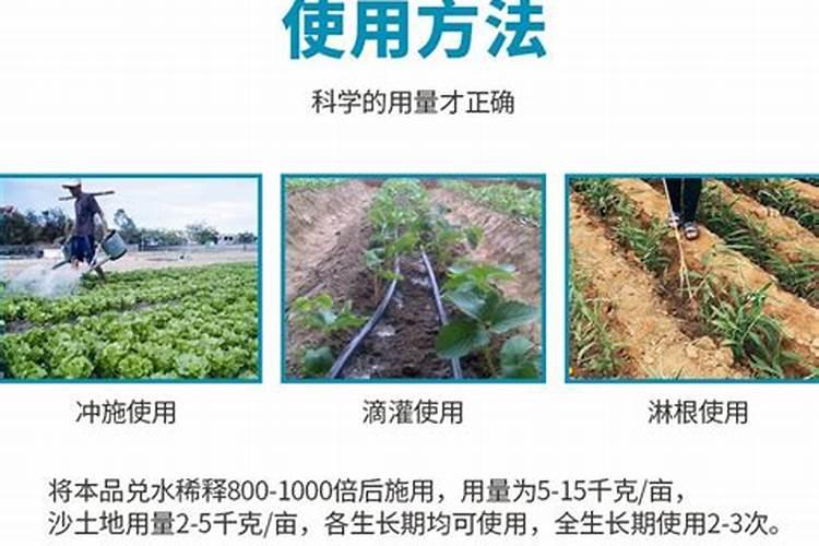 两年桃树用什么肥？施肥技巧