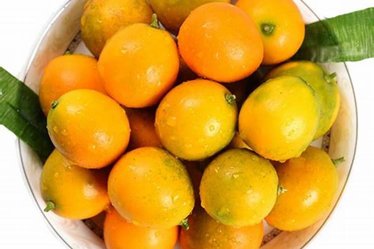 脆皮金桔种植方法 脆皮金桔高产养护技巧