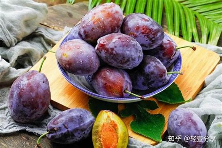 种西梅施什么肥