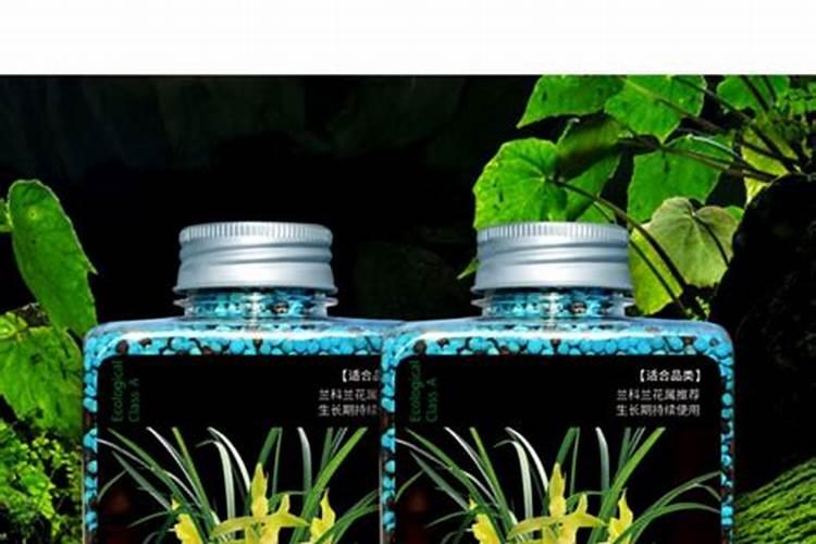 我家玉兰树种植10年仍然长不大如何种植才能旺盛？