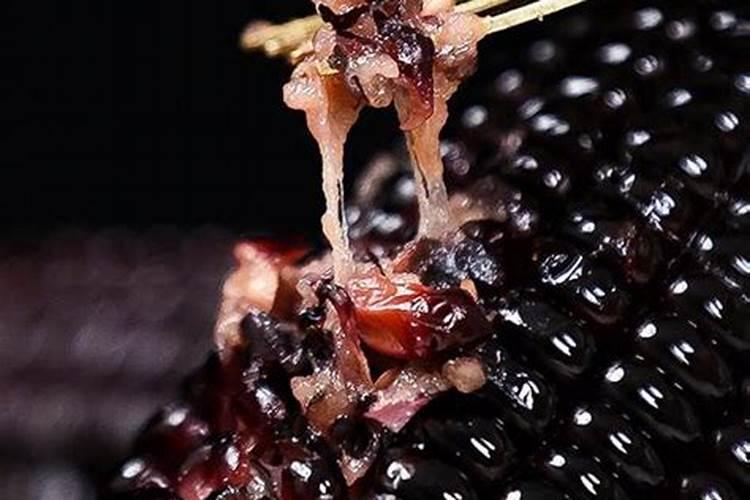 住商肥料玉米专用肥价格多少