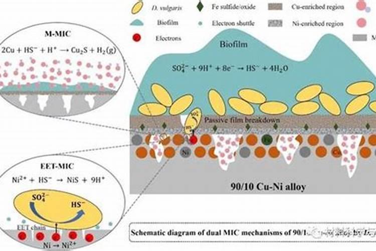金矿石常见浮选方法
