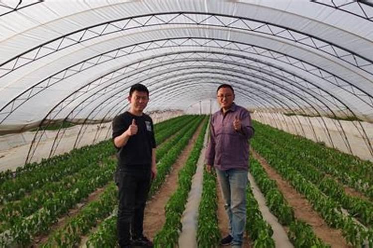 网上卖的几十块钱的肥料是真的吗