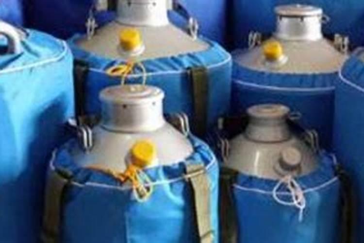 尿素氮和尿素一样吗