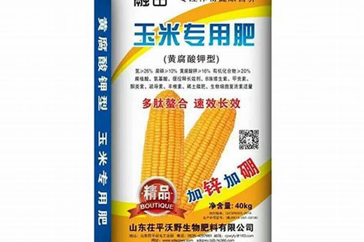 黄心乌塌菜种植时间和方法 栽培管理技术