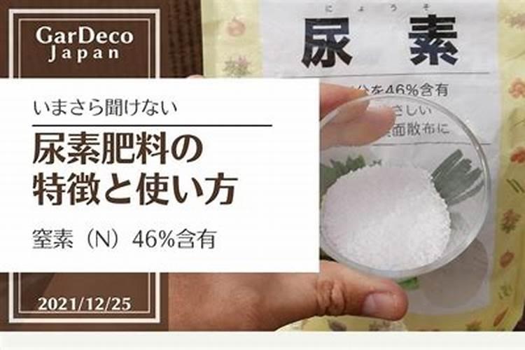 尿素是什么肥料种类