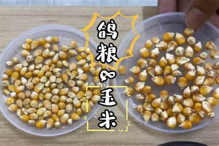 酸奶是发酵的好还是不发酵的好