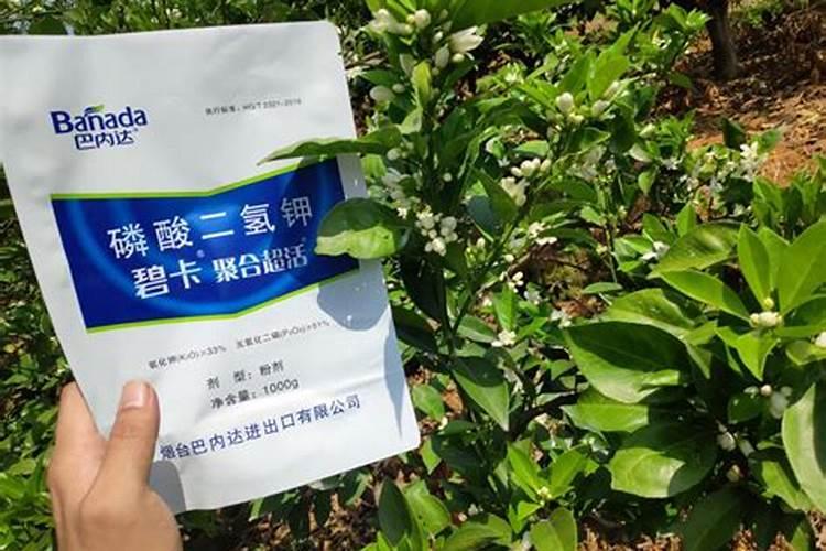 磷酸二氢钾和硼肥配合使用