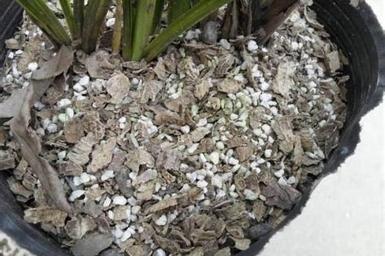 花生盛花期叶面肥用什么好？花生在什么时候喷施叶面肥？