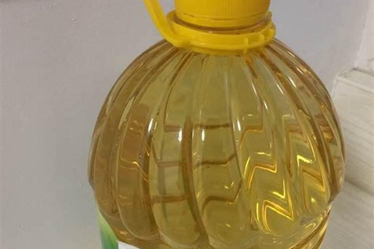 盆栽荷花竹怎么养