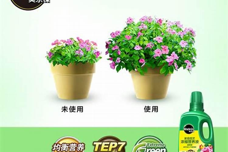 水培植物应该怎么去施肥和选择肥料 水培植物应该如何去施肥和选择肥料...