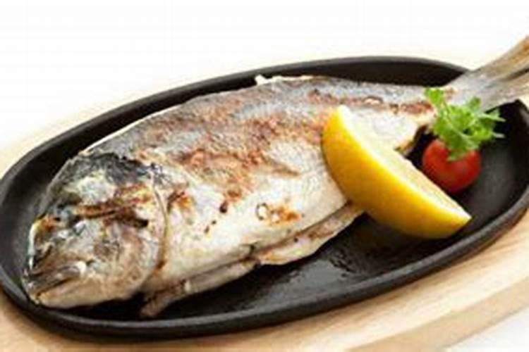 鱼蛋白放多了会烧根吗