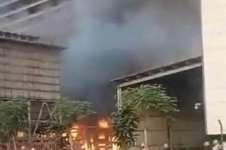 药害几天可以恢复