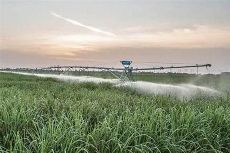 缓控释肥控释肥释放原理