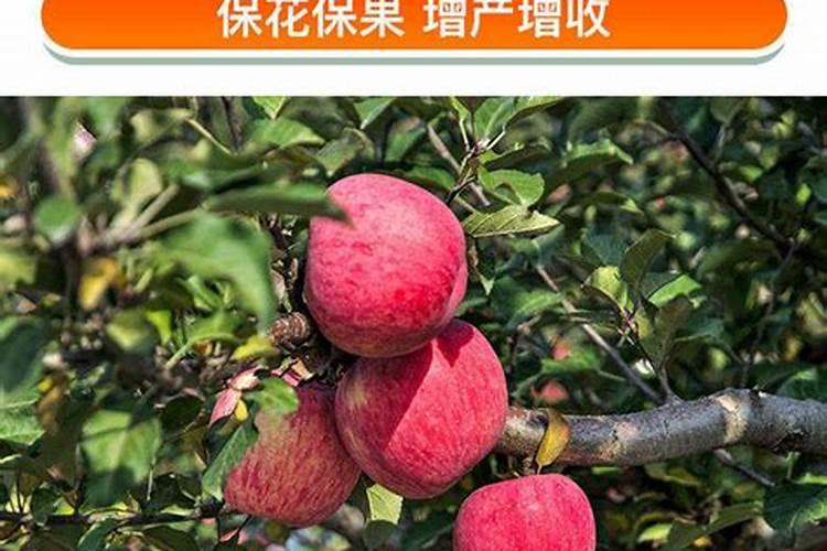 桃树硬核期需要追肥吗？追什么肥料效果好呢？