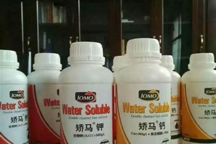 当下要是想让玉米实现增产,该喷施哪种药物呢