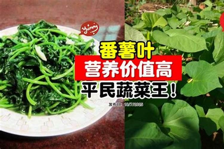 多少个钾才叫高钾肥