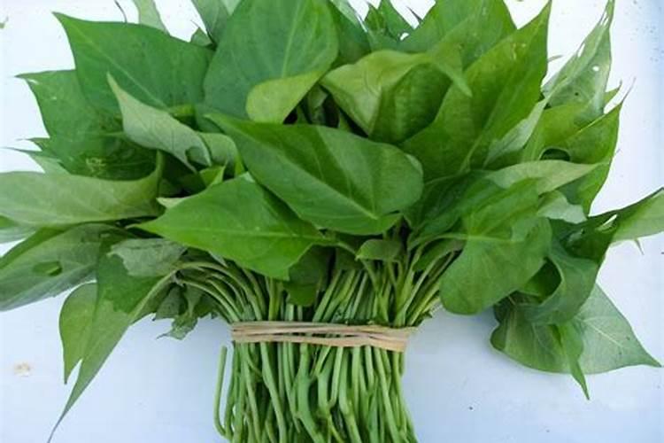 中钾肥与高钾肥的区别？