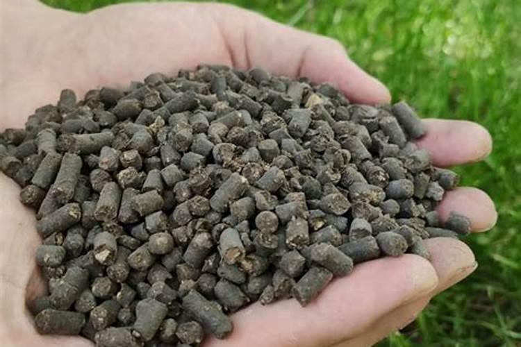 蚯蚓粪的作用与功效