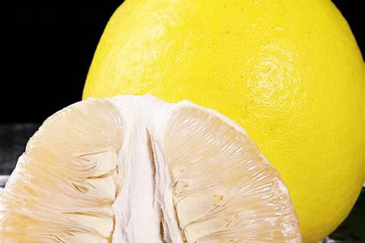 红叶石楠球的介绍与修剪技术