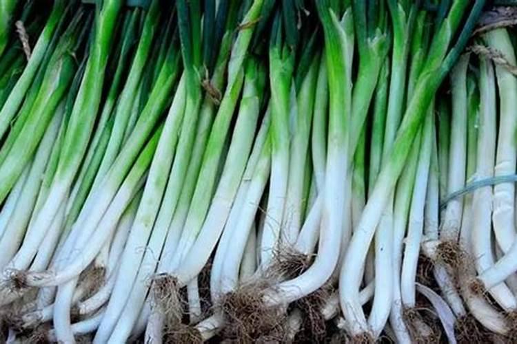 小葱卖之前可以冲高钾肥水吗