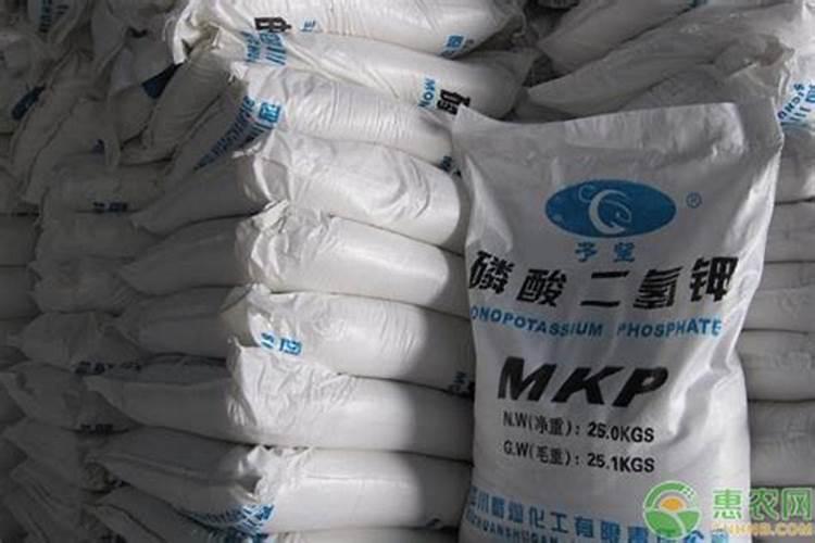 无花果施肥用什么肥料