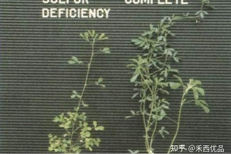 用尿素和硫酸钾怎么配复合肥