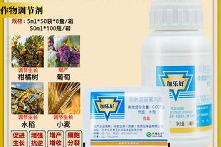 桃树秋季施复合肥的配比