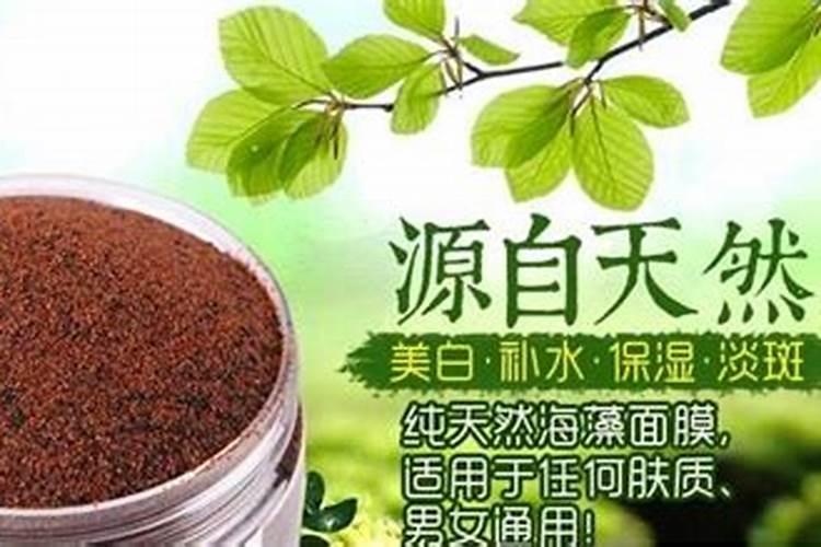 住商宏福绿植园艺的海藻叶面肥怎么使用呢？