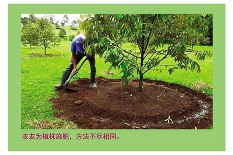 长期使用化肥危害生态环境,结合新型肥料达到绿色种植目的