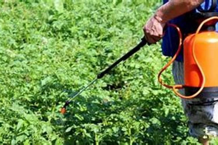 嘧菌酯可以和腐质酸叶面肥混用吗