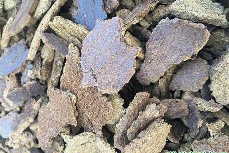 油菜饼加水泡多久才可以施肥